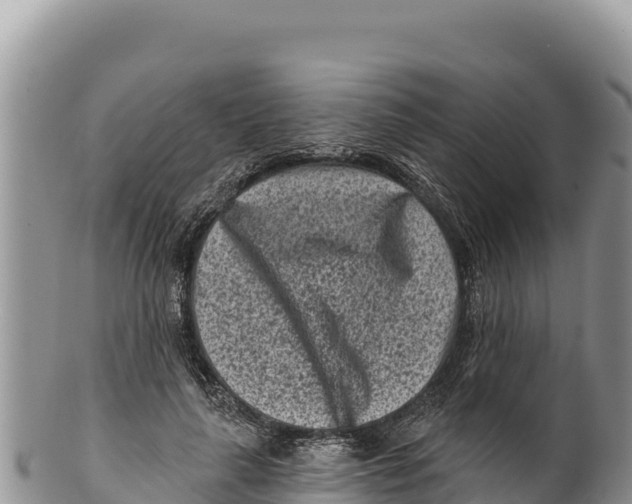 X0000100210643200806201446