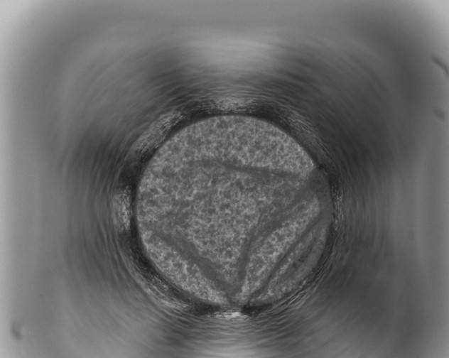 X0000100210644200806201446