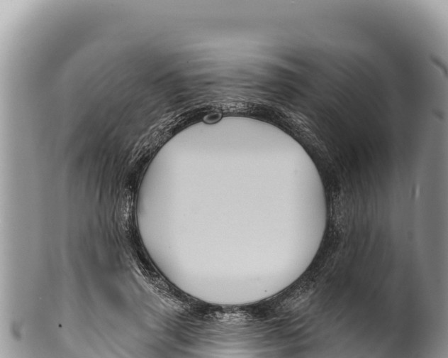 X0000100210645200806201446