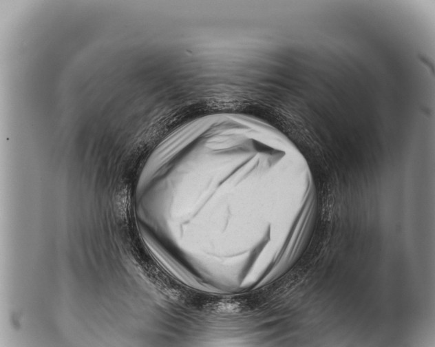 X0000100210647200806201446