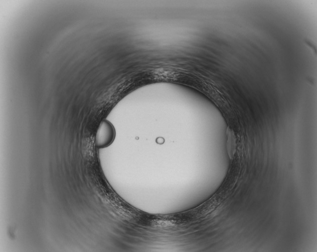 X0000100210649200806201446