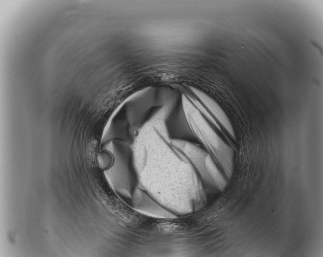 X0000100210650200806201446