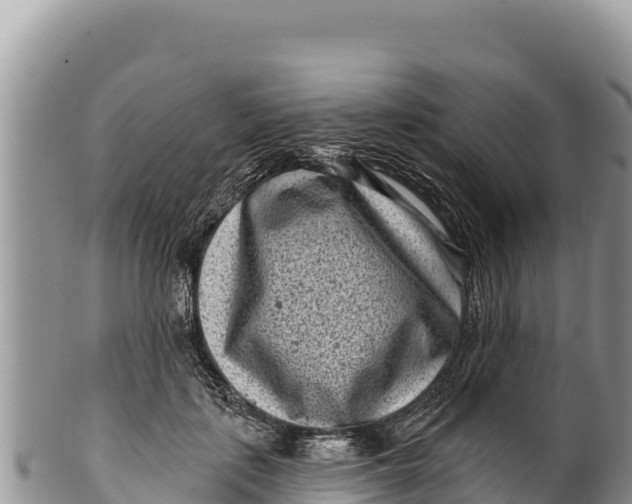 X0000100210651200806201446