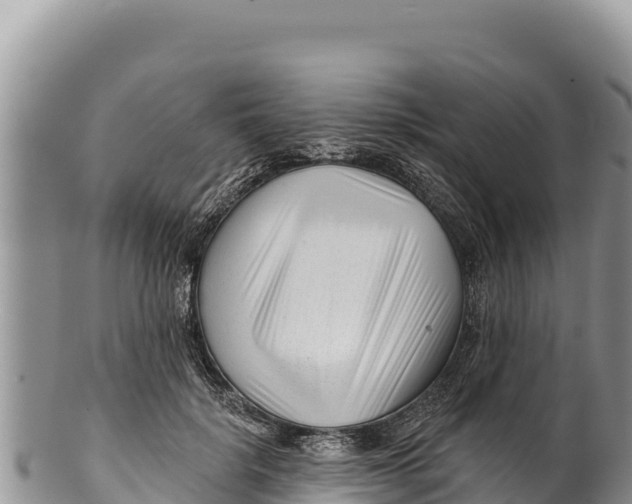 X0000100210652200806201446