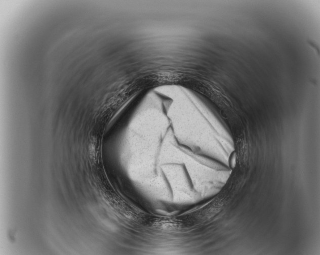 X0000100210655200806201446