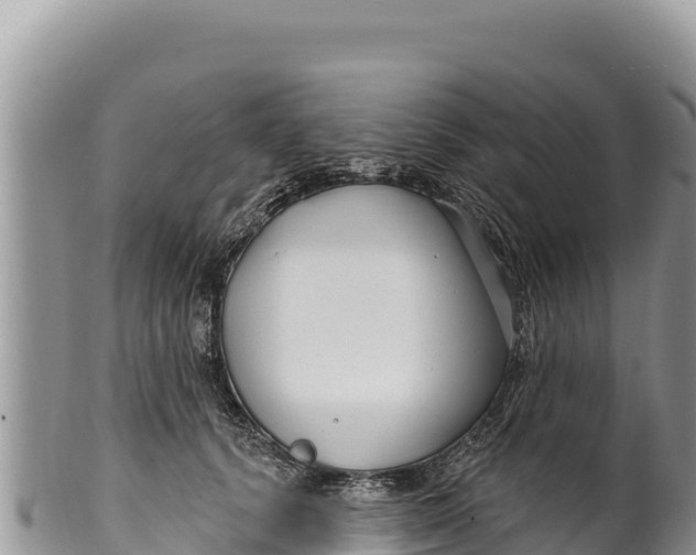 X0000100210656200806201446