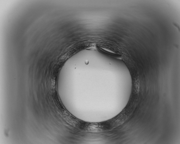 X0000100210657200806201446