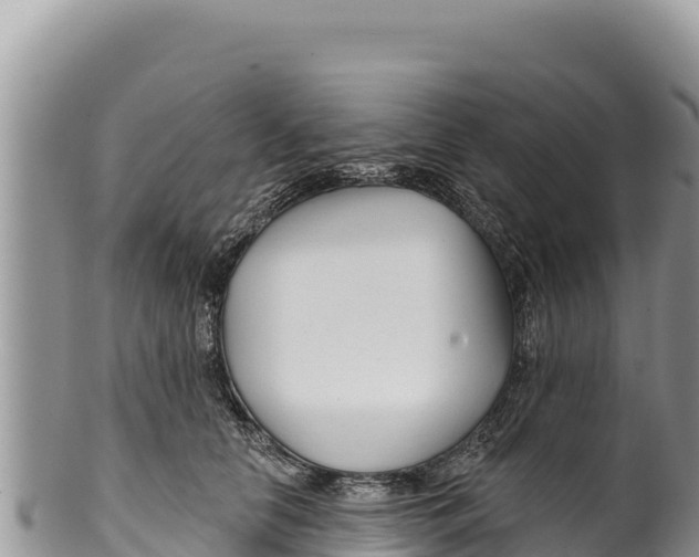 X0000100210658200806201446