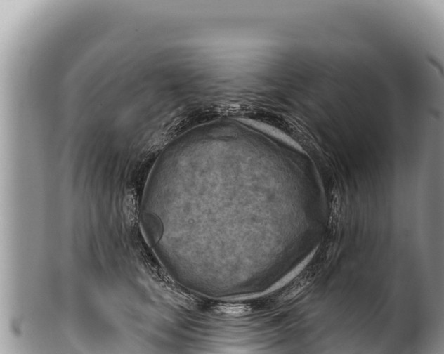 X0000100210659200806201446