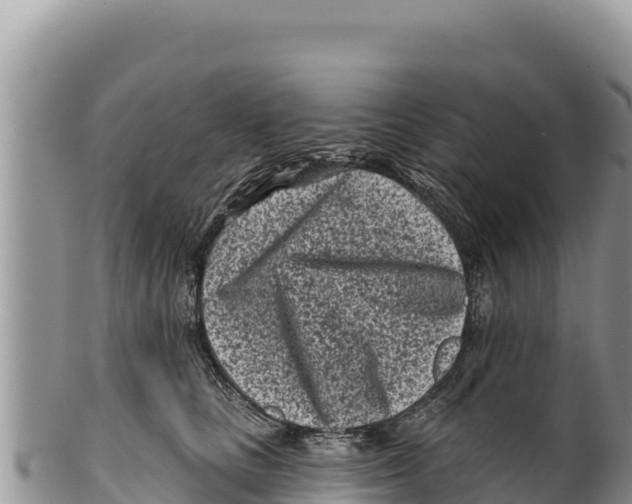 X0000100210661200806201446