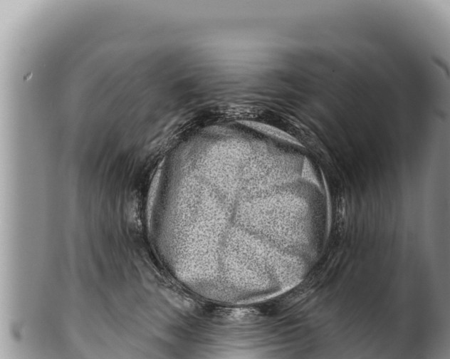 X0000100210663200806201446