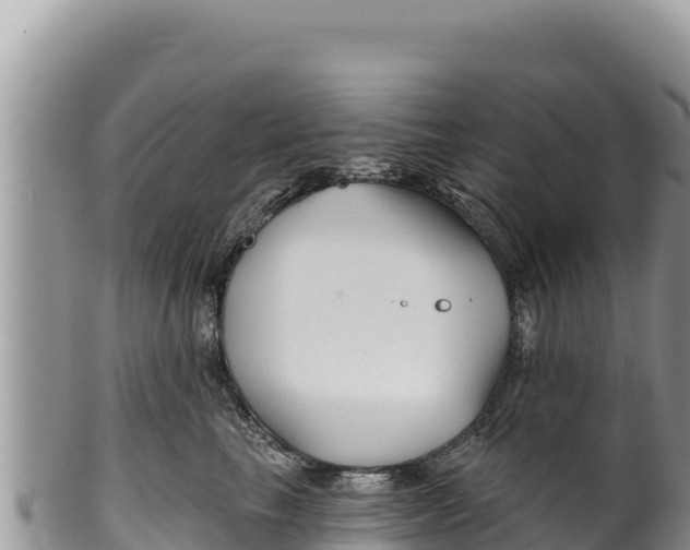 X0000100210665200806201446