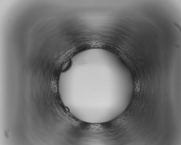 X0000100210666200806201446