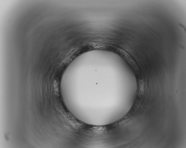 X0000100210667200806201446