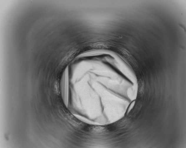 X0000100210669200806201446