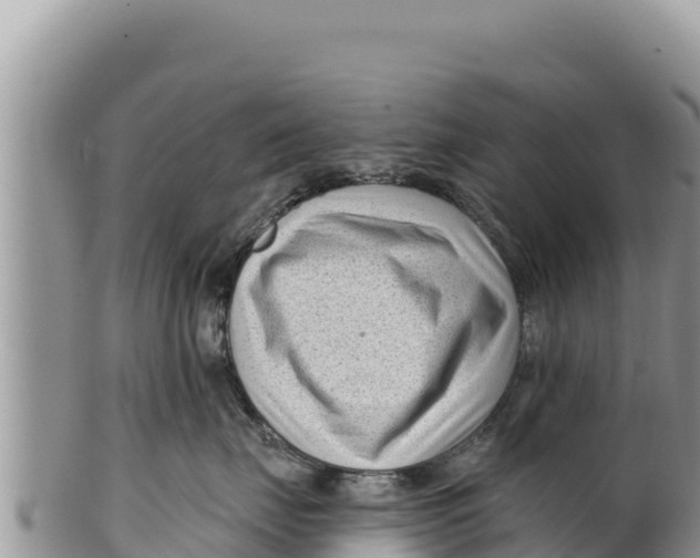 X0000100210671200806201446