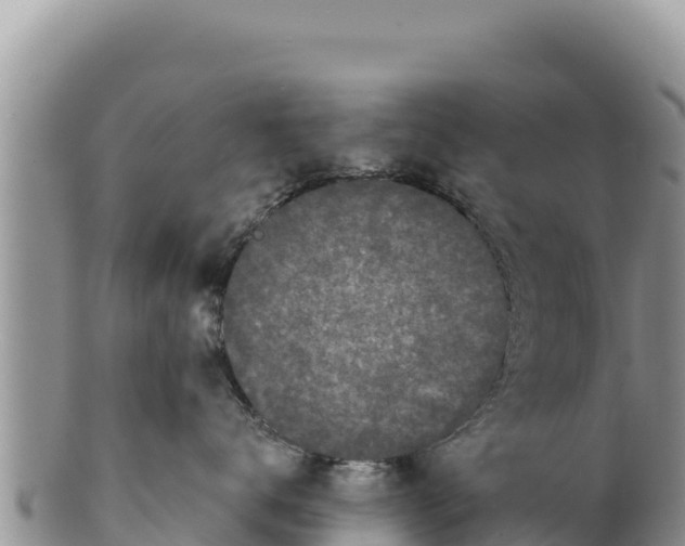 X0000100210672200806201446