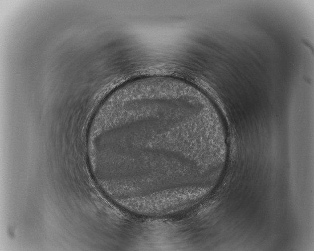 X0000100210673200806201445