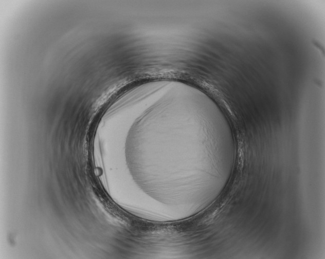 X0000100210674200806201445