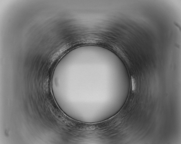 X0000100210675200806201445