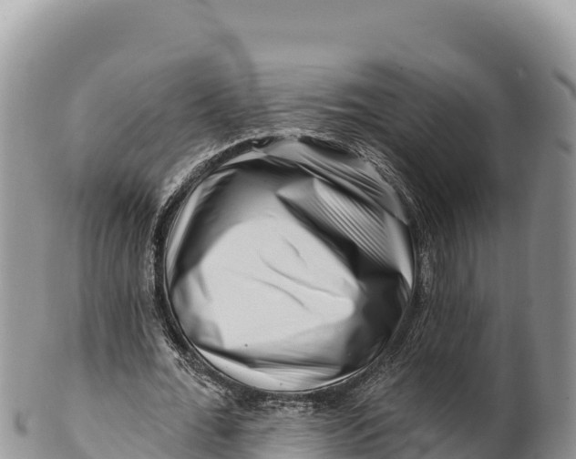 X0000100210676200806201445