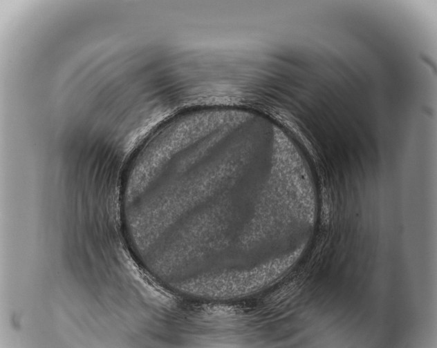 X0000100210677200806201445