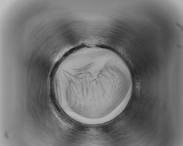 X0000100210678200806201445