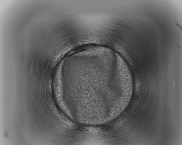 X0000100210681200806201445