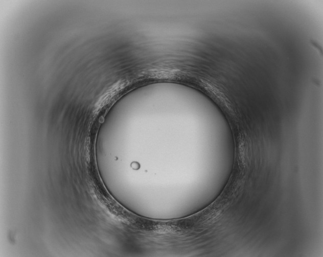 X0000100210682200806201445