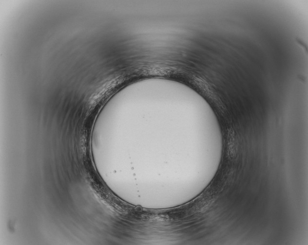 X0000100210683200806201445