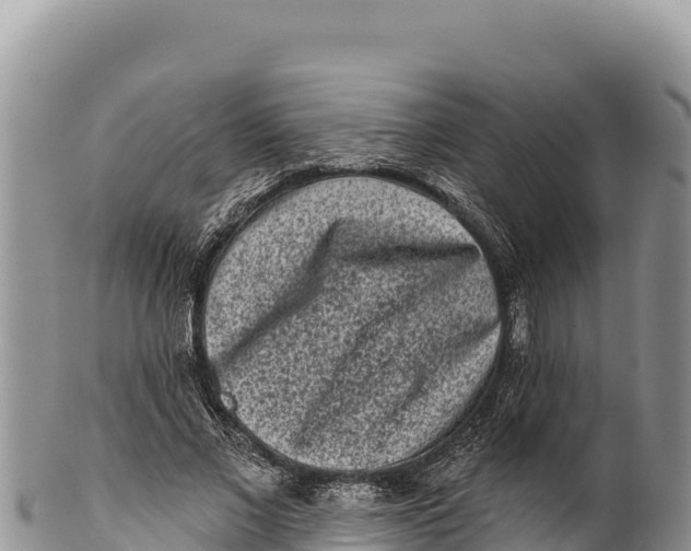 X0000100210685200806201445