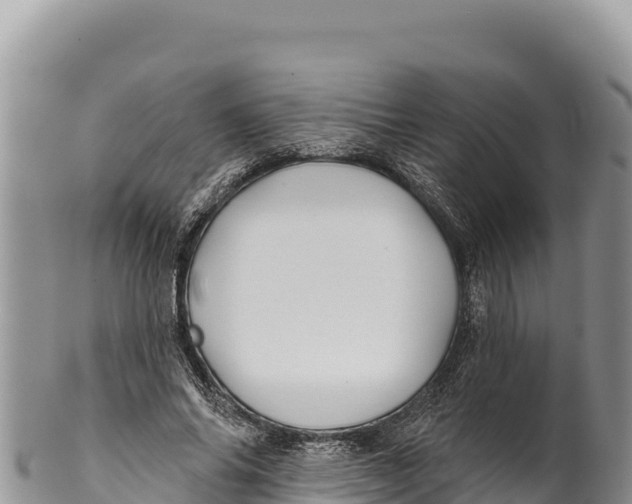 X0000100210686200806201445