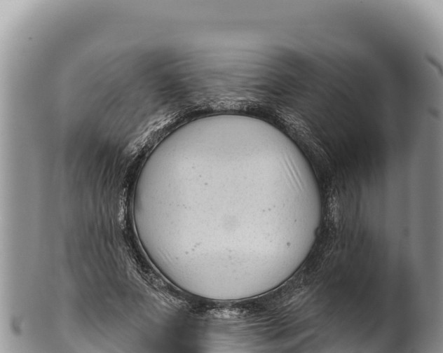 X0000100210687200806201445