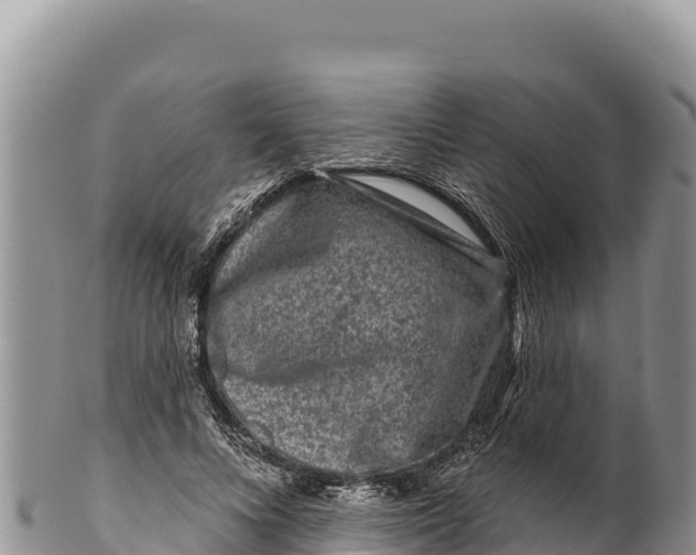 X0000100210688200806201445