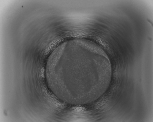 X0000100210689200806201445