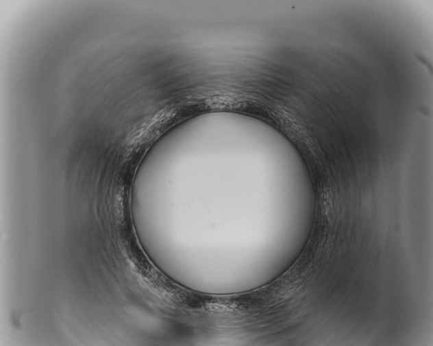 X0000100210690200806201445