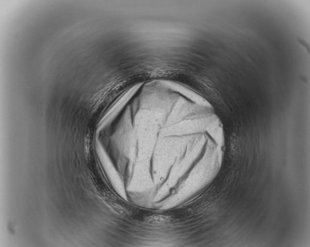 X0000100210691200806201445