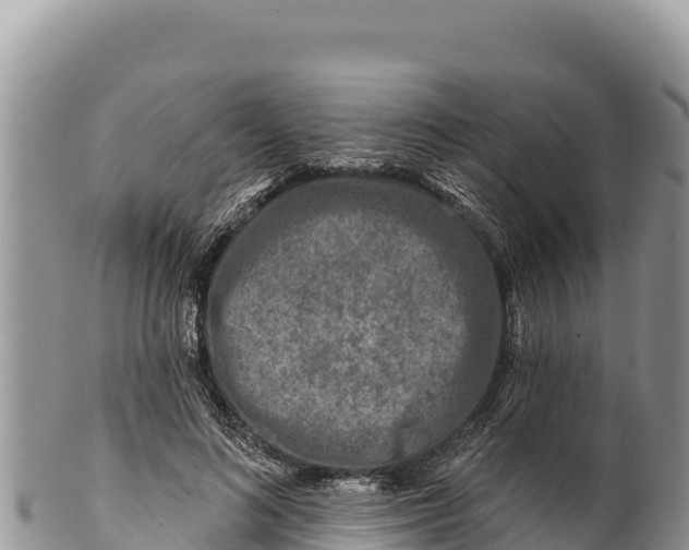 X0000100210692200806201445