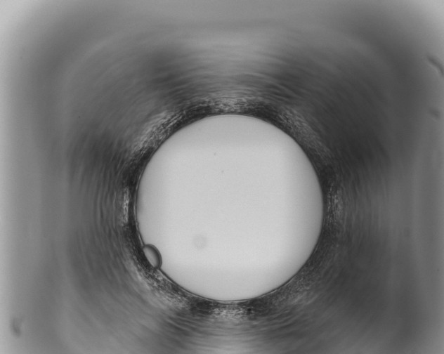 X0000100210694200806201445