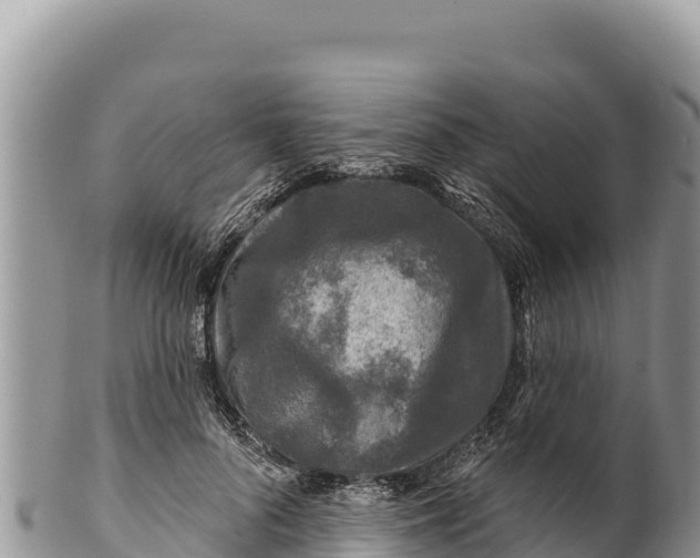 X0000100210696200806201445