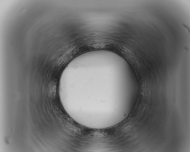 X0000100210697200806201445