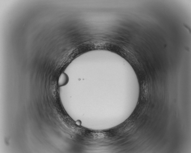 X0000100210698200806201445