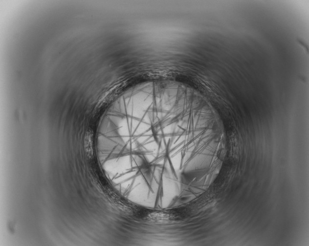 X0000100210699200806201445