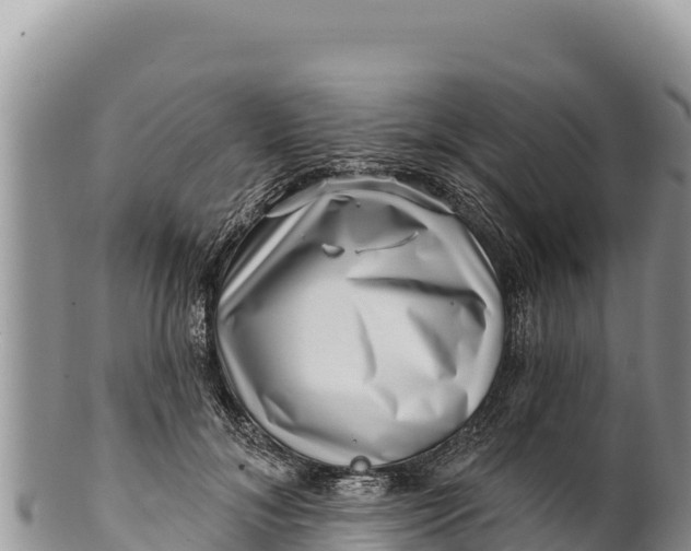 X0000100210700200806201445