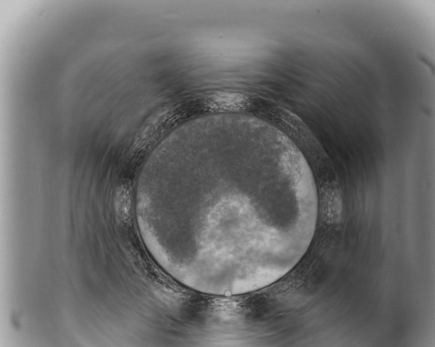 X0000100210701200806201445