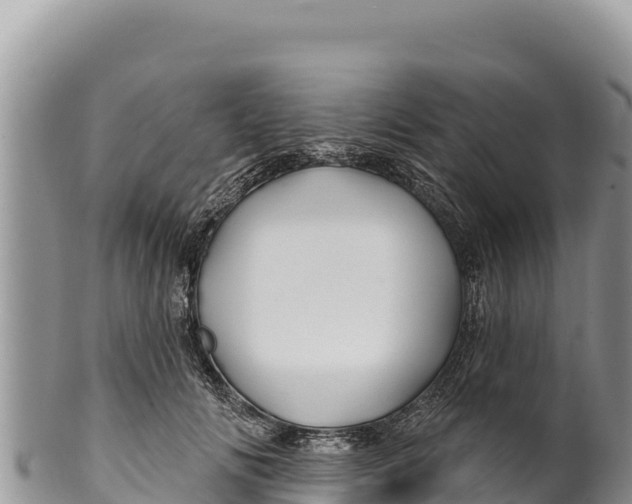 X0000100210702200806201445