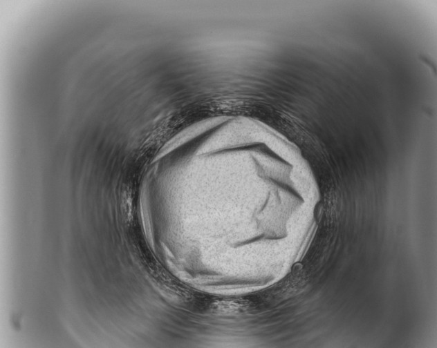 X0000100210703200806201445