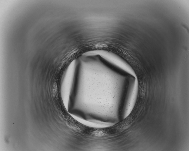 X0000100210704200806201445