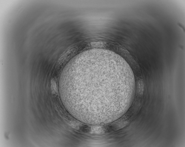 X0000100210705200806201445