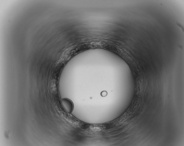 X0000100210706200806201445